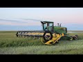 swathing canola 2011