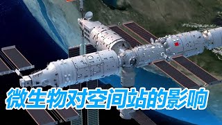 10岁好问“青年”：太空微生物会变异影响空间站吗？丨开讲啦 The Voice