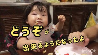 どうぞをする喜びを覚えた「ボリビア生まれの日本人1歳児】