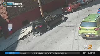 New Video Shows Bronx Shooting