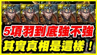 【神魔之塔】複製5項羽《到底強不強？》其實真相是這樣【平民百姓實戰】