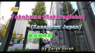 野菜を食べよう (sanpo) 4K Yokohama (Sakuragicho) (Japan)