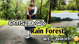 നെടുങ്കയം RAIN FOREST#nilambur#malappuram#rainforest#keralatourism