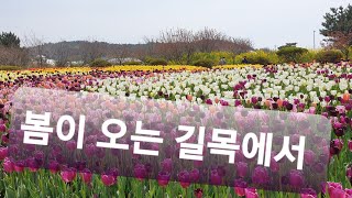 봄이 오는 길목에서 ㅡ박주철 (낭송 ㅡ내맘뜨락)