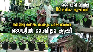 ഒരിഞ്ചു സ്ഥലം പോലും പാഴാക്കാതെ ടെറസ്സിൽ ഭാരമില്ല കൃഷി | സവോള മുതൽ നെല്ല് വരെ, 80 ലധികം കൃഷികൾ