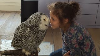 Little Girl and Owl Are Best Friends