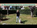 apprendre la marche en laisse à son chien tuto 7 minutes