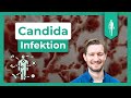 Candida: DAS solltest Du unbedingt wissen! | Darm | Paul Seelhorst