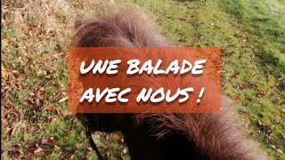 Une balade avec mon poney !