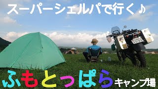 ふもとっぱらキャンプ場　FUMOTOPPARA campground　2021/8