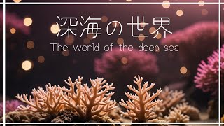 【癒しBGM】深海の世界｜静寂な時間｜自律神経が整う音楽｜Relaxing\u0026Healing Music