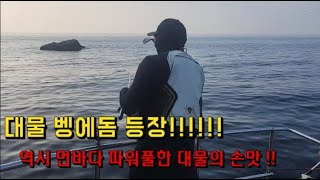 [피싱톡호] 49대물벵에돔 외 4짜 긴꼬리벵에돔 마릿수!!