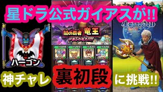 【神チャレ裏初段】星ドラ公式ガイアスが神様チャレンジ裏初段に挑戦してみた‼︎【星のドラゴンクエスト】【かみさまチャレンジ】