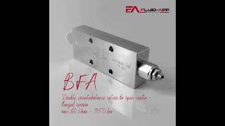 BFA double counterbalance valves for open center, flanged version!