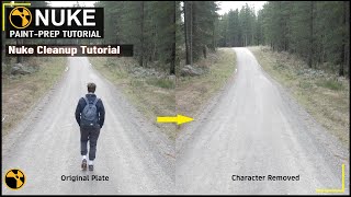 Nuke Cleanup Tutorial | Cleanup Using Clean plate in Nuke | Object Removal