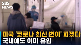 미국 순식간에 퍼진 '코로나 최신 변이', 국내 이미 유입 / SBS