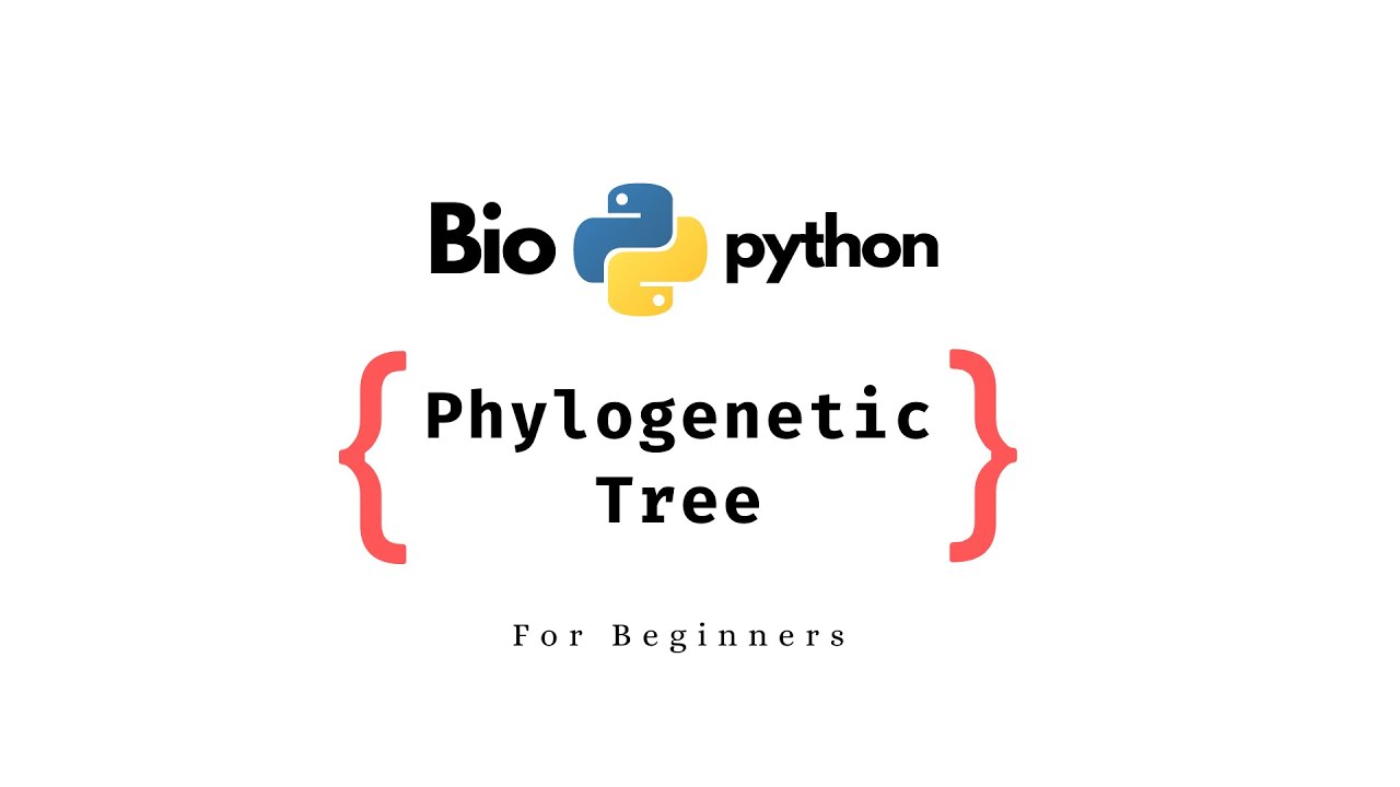 Drawing A Phylogenetic Tree Using PYTHON | Biopython Tutorial ...