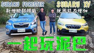 SUBARU Forester 首搭 iPhone人臉辨識  XV入門跨界Off Road 如履平地 - 試駕 怡塵 熊子【全民瘋車bar】 243