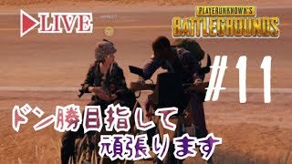 ＃１１【PUBG】PS４版 ぱぶじー ドン勝目指して頑張ります！