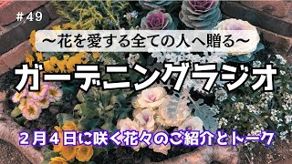 #49 ガーデンに咲く花々をご紹介しながらのひとり語りです。誕生花・最近のガーデニングリポート・メッセージのご紹介等。 #ガーデニング #ラジオ #gardening #flowers #radio