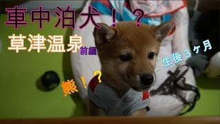 【柴犬くるみ】初めての車中泊♪　草津温泉　前編　First trip in camping trailer!