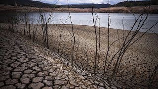 La Ley de Restauración de la Naturaleza sobrevive a su primer voto