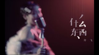 《什么东西》许飞