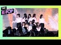 LOONA, Butterfly [SMUF K-POP, Fancam, 191006] 60P