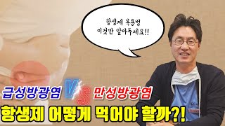 (슬기로운방광tv) 급성방광염 Vs 만성 방광염 항생제 어떻게 먹어야 하나요?