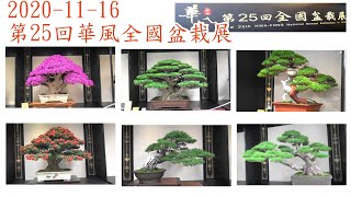 2020第25回全國華風盆栽展(彰化_溪州公園)｜華風展｜展出作品，包括九重葛、榕樹、雜木、松柏，象牙木等｜109-11-16