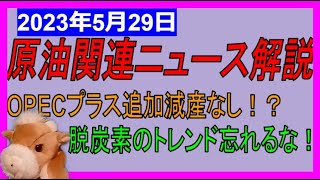 OPECプラス目前！追加減産なし？リグ稼働数が急減！注目の中国経済指標はこれ！　WTI原油先物チャート分析　2023年5月28日時点