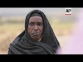 irc head visits drought hit region of ethiopia