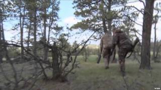 Big Boys Adventures TV - Full Strut