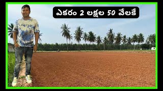 ఎకరం ధర :- 2 లక్షల 50 వేలకే || Acre Cost 2,50,000/- only