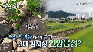 조선 대표 평지성 언양읍성 [KBS울산 보물창고 - 울산실록] 23.09.12 방송