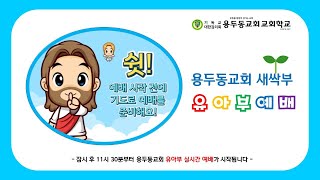 용두동교회 새싹부 2022년 11월 6일 유아부 예배 (추수감사예배)