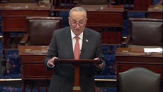 Chuck Schumer pushes voting bill to 'protect democracy'