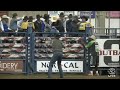 Colby Demo | 2024 California Circuit Finals Rodeo