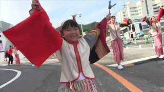 第６６回よさこい祭り１日目