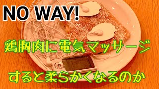 【実験】全力で電気マッサージをするとお肉は柔らかくなるのか！～Does electric massage make chicken tender?～