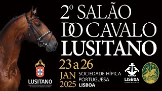 25/01/24 2º Salão do Cavalo Lusitano Admissão de Garanhões - Day one Stallion grading