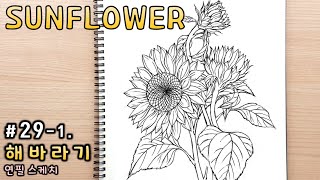 How To Draw A Sunflower