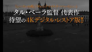 スコセッシ絶賛！驚愕のタル・ベーラ伝説の傑作『サタンタンゴ』予告