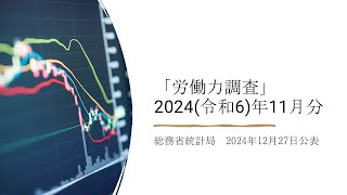 労働力調査（2024(令和6)年11月分）