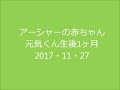 アーシャーの赤ちゃん・元気くん生後1ヶ月