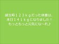 アーシャーの赤ちゃん・元気くん生後1ヶ月