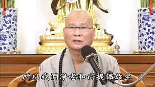 悟道法師 - 淨空老法師所提倡的放生