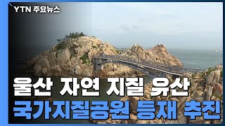 울산, 반구대암각화·주전 해안 등 20여 곳 국가지질공원 추진 / YTN