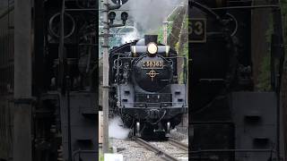 【4K縦動画】C58-363 門鉄デフ！秩父鉄道・SLパレオ　樋口駅先通過！　[Chichibu-Railway Steam locomotive Class C58 \