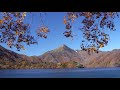 4k the best of autumn leaves at nikko in 2018 奥日光の紅葉 2018